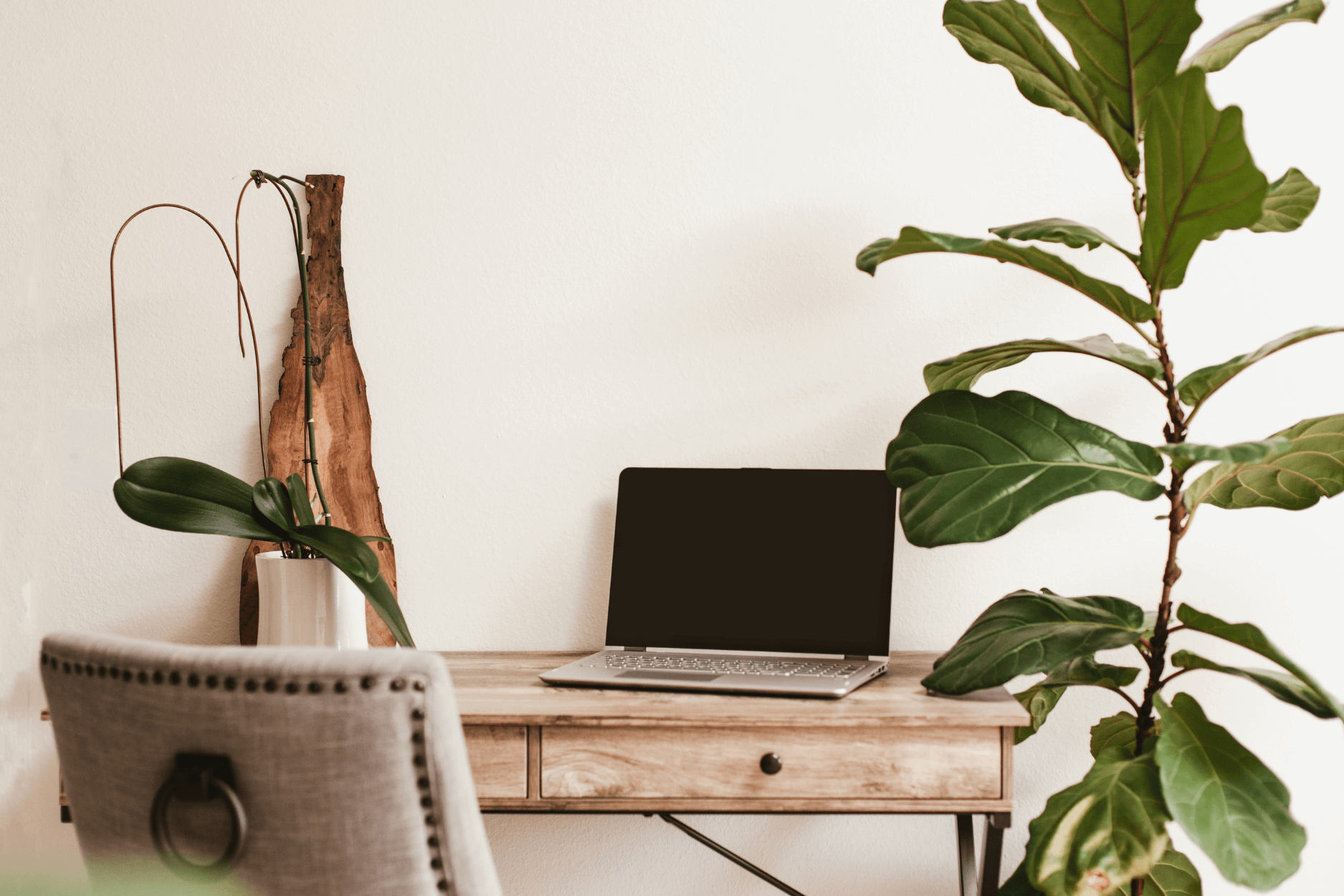 2024 JUNE BRING THE OUTDOORS INDOORS HOUSE PLANTS