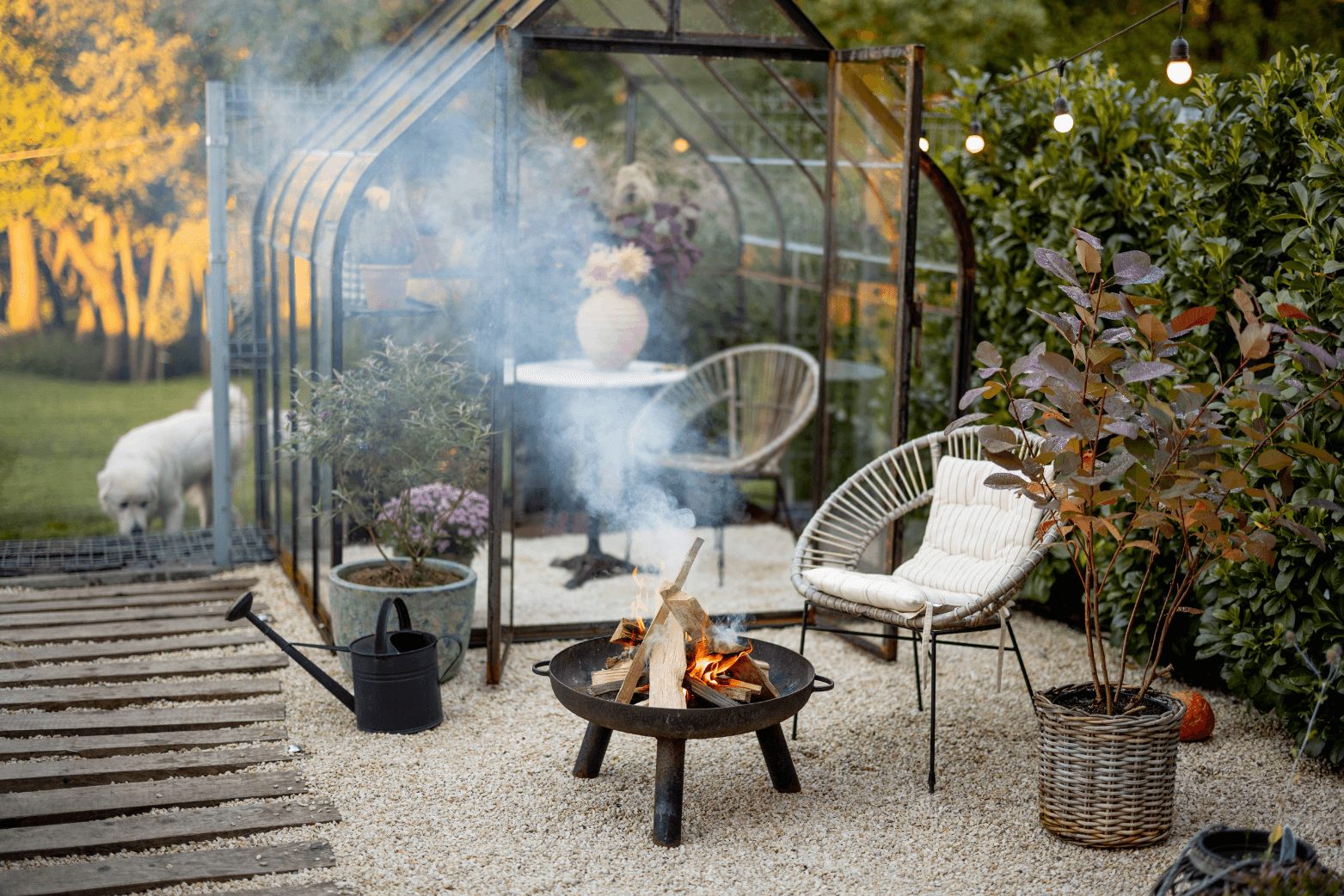 2024 MAY quealy 6 steps to get your garden ready for summer 2
