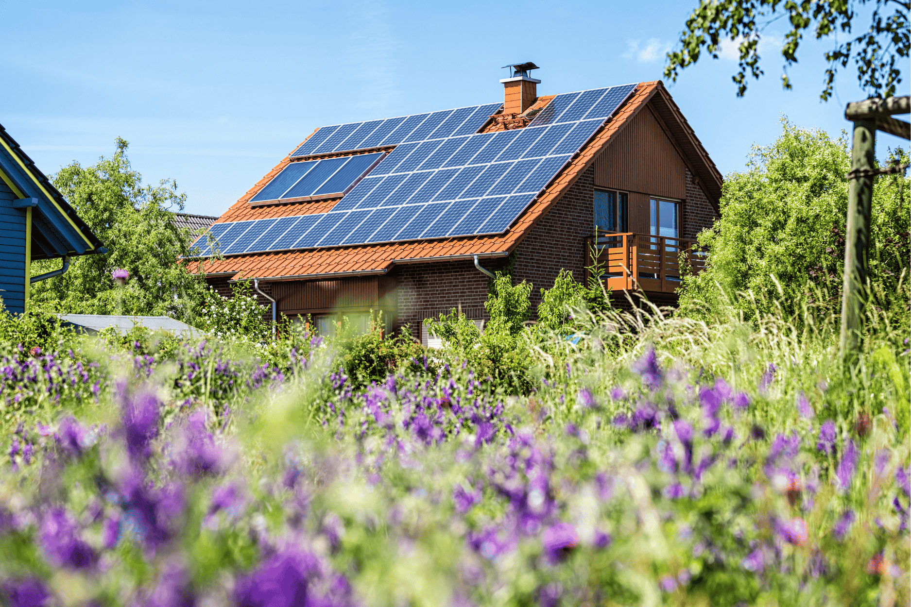2025 AUGUST QUEALY sustainable homes solar panels 