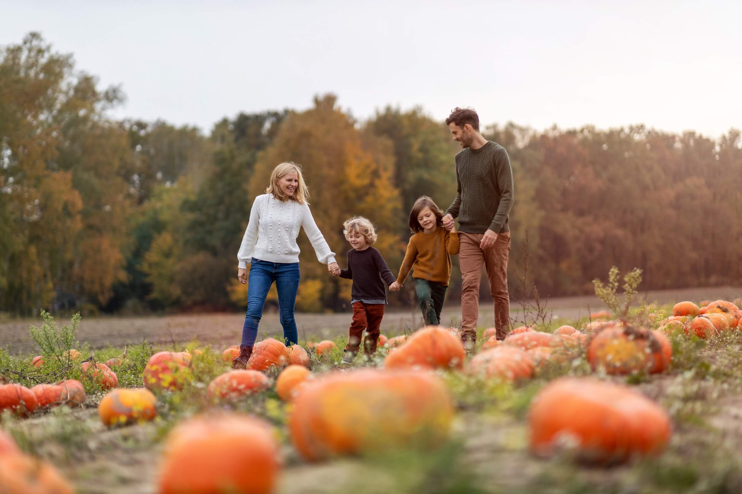 2025 SEPTEMBER QUEALY PUMPKIN PATCHES IN KENT