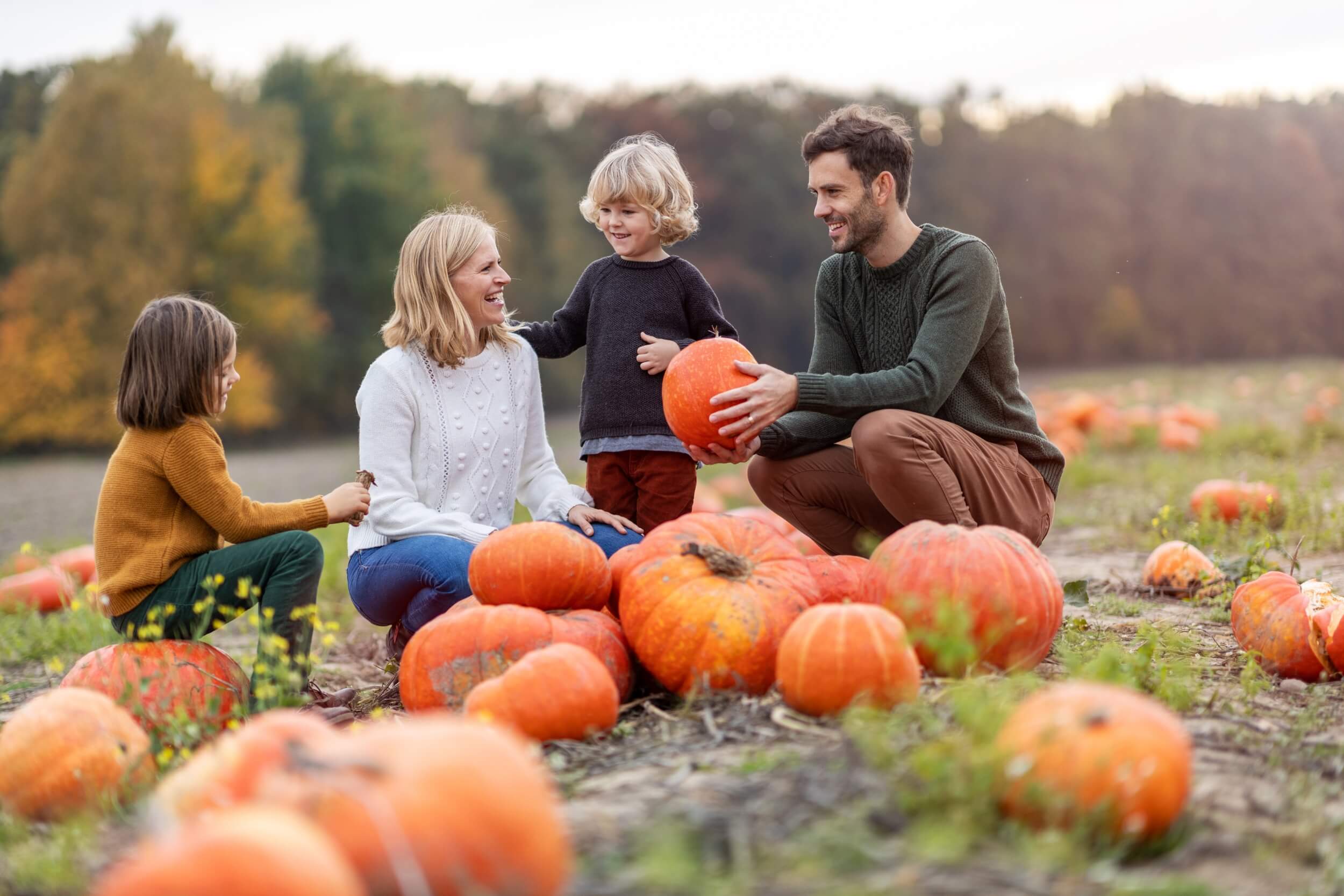 2025 SEPTEMBER QUEALY PUMPKIN PATCHES IN KENT 2