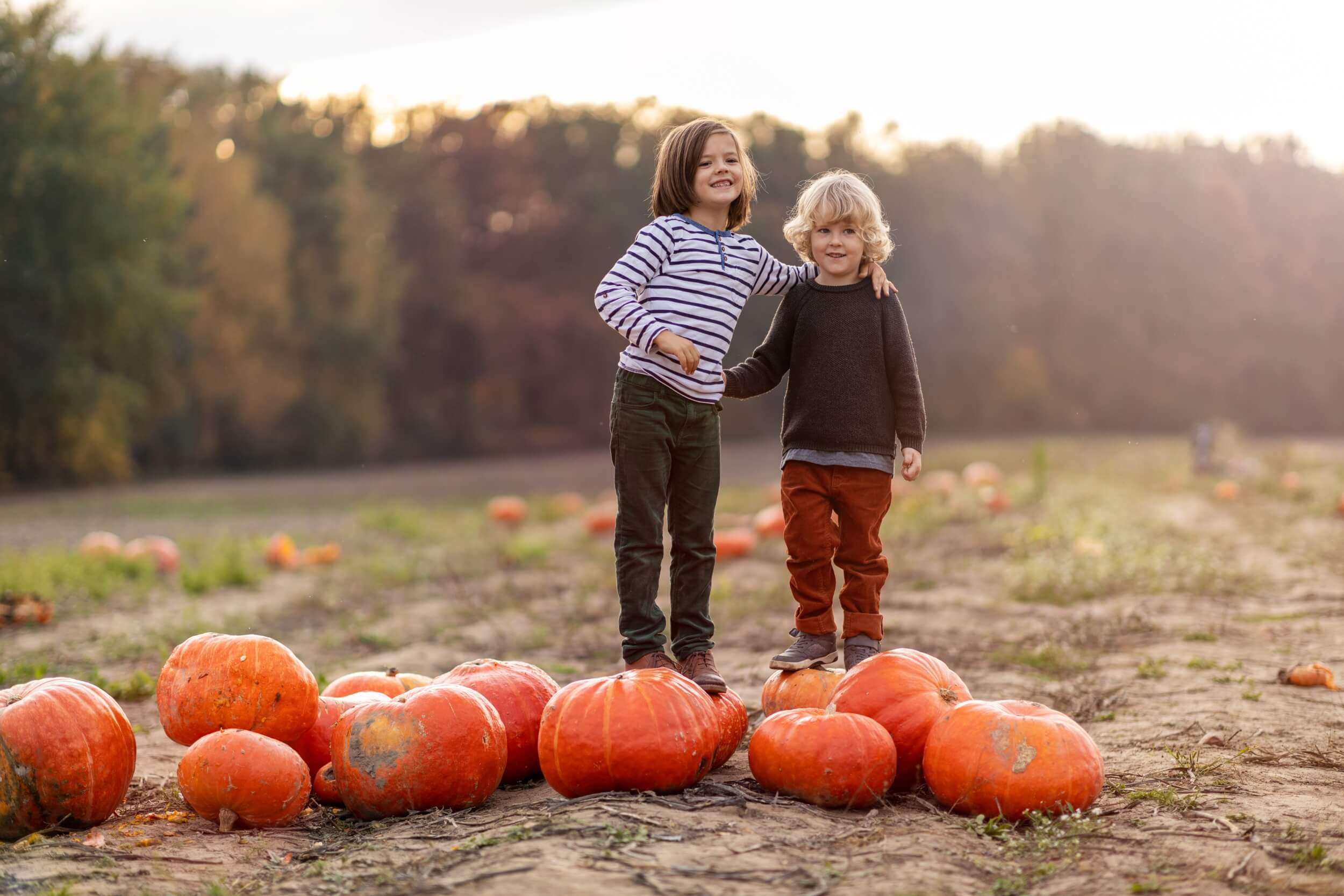 2025 SEPTEMBER QUEALY PUMPKIN PATCHES IN KENT 3