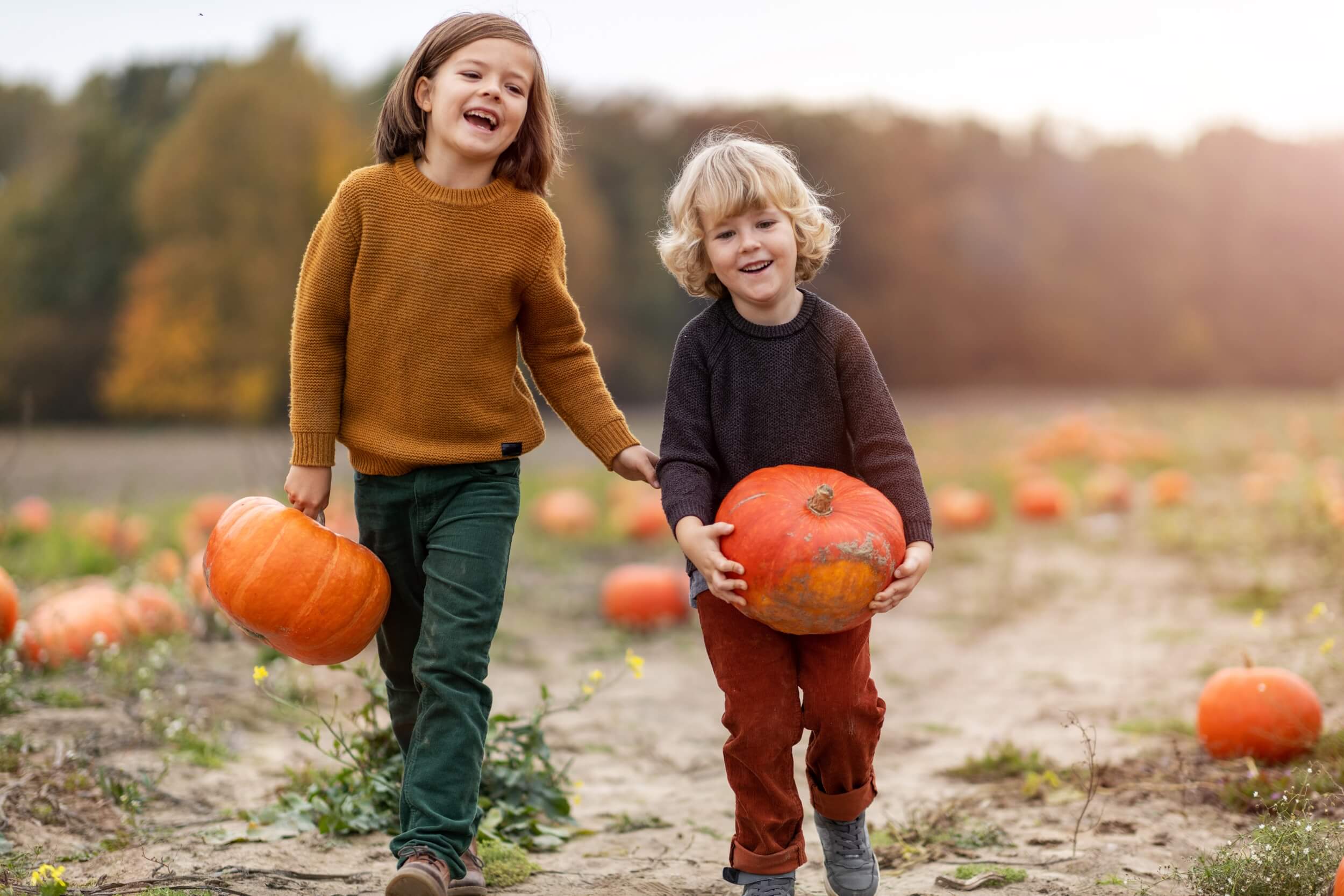 2025 SEPTEMBER QUEALY PUMPKIN PATCHES IN KENT 4