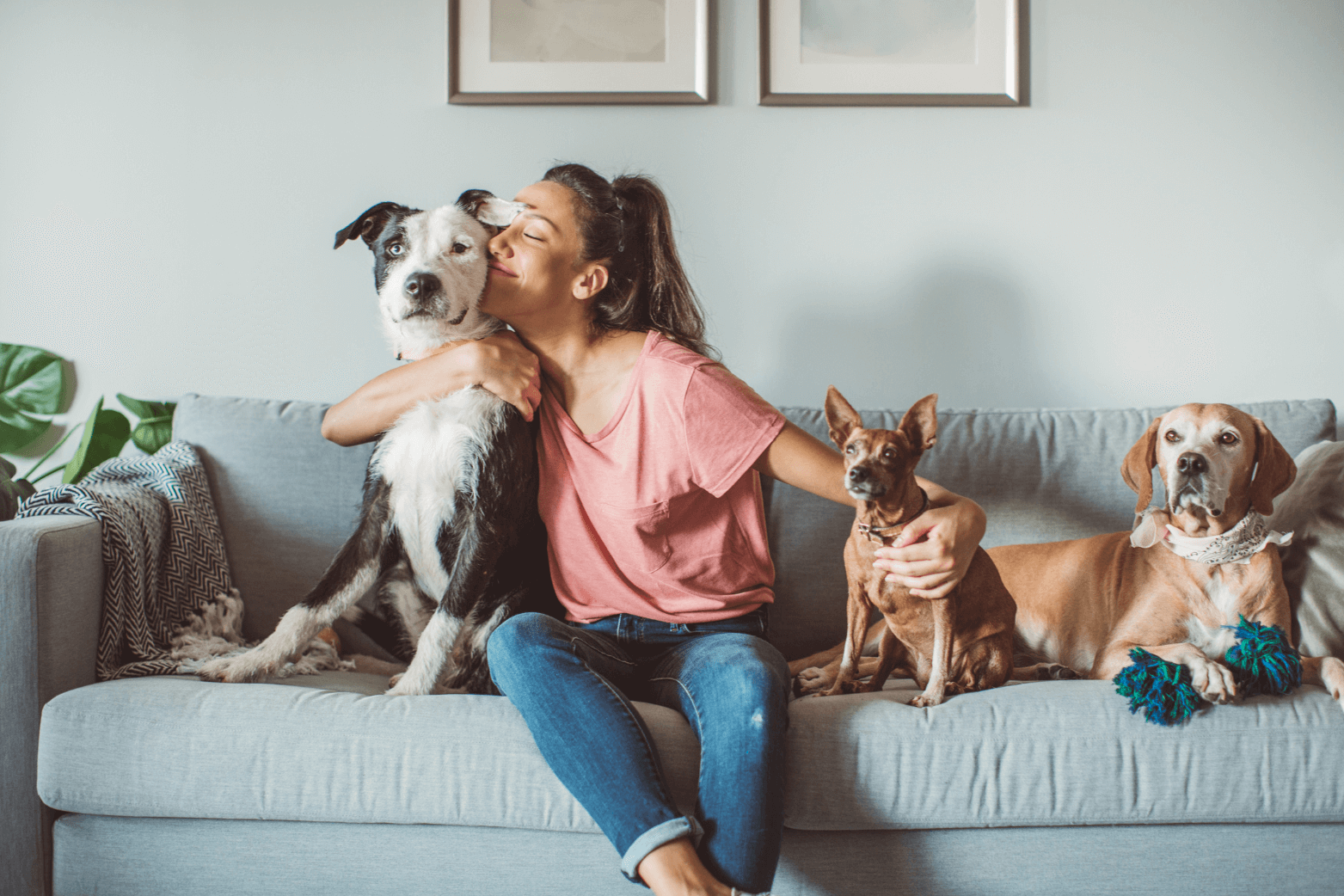 2025 october quealy renting with pets a landlords guide 2