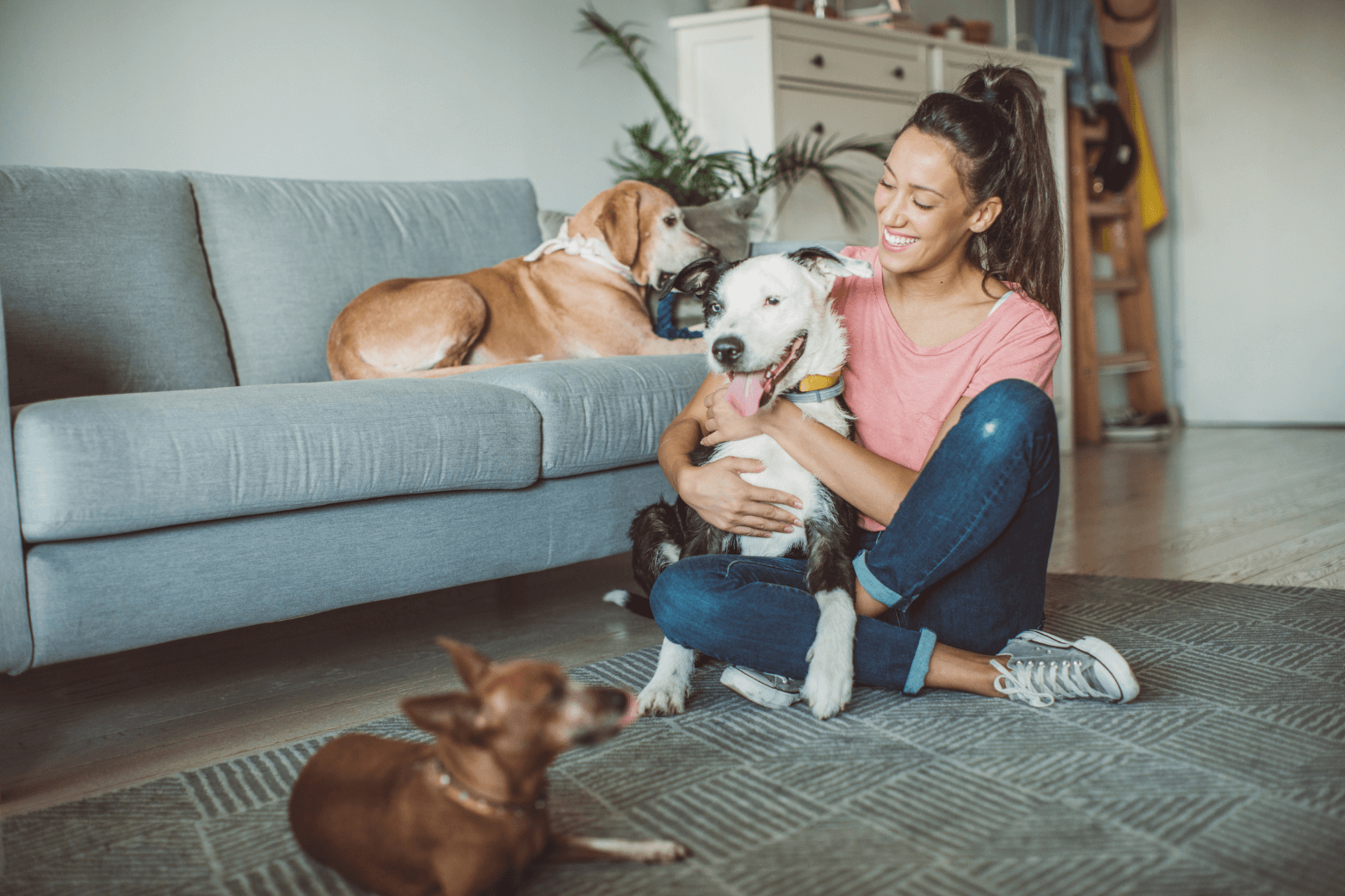 2025 october quealy renting with pets a landlords guide 4