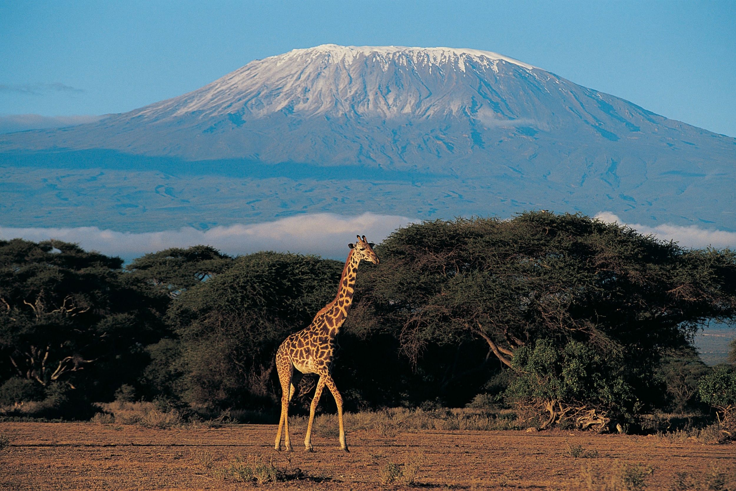 2026 JULY KILI TO COAST 2