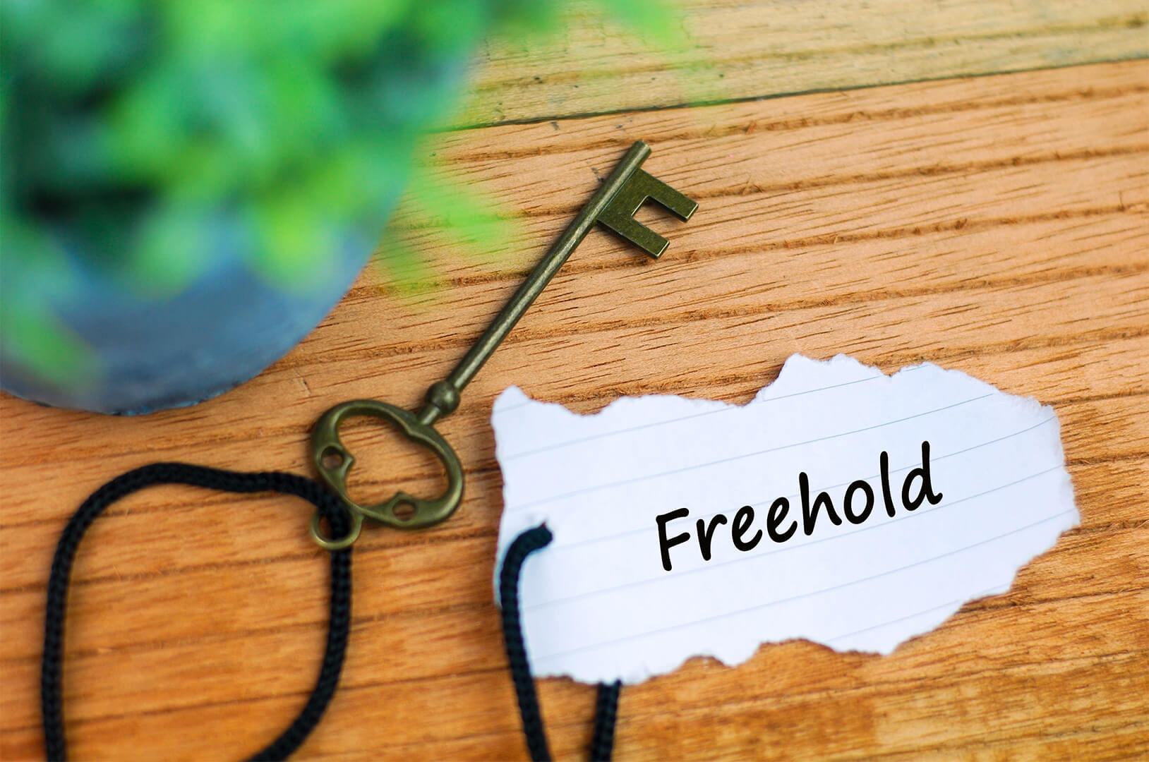 what does freehold mean
