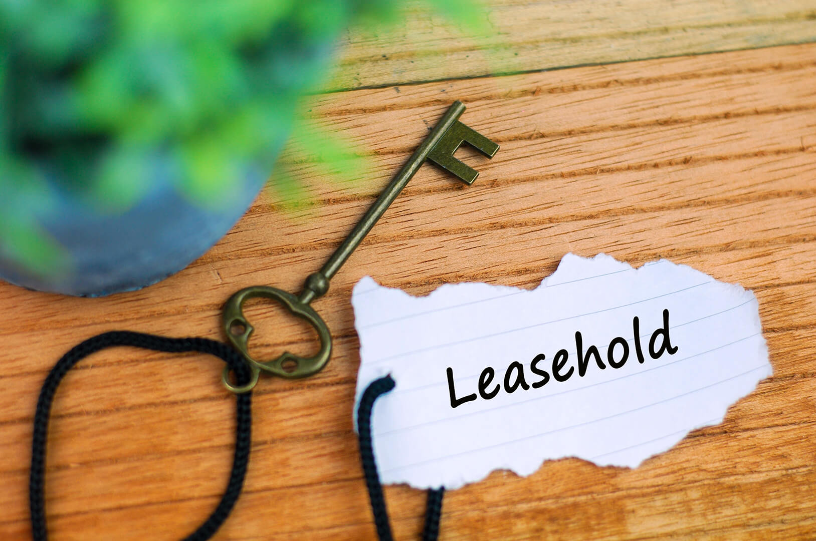 what does leasehold mean